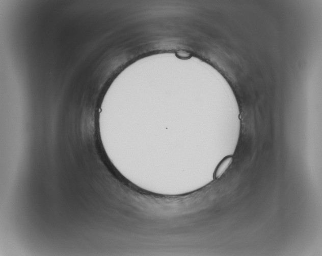X0000111850015200908201246