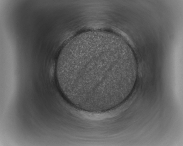 X0000111850018200908201246