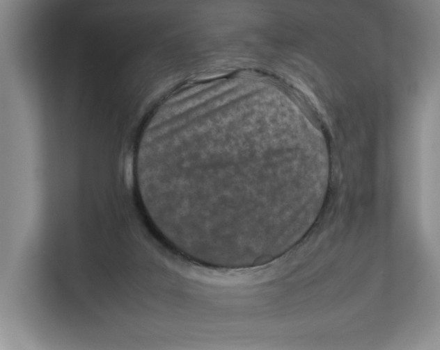 X0000111850019200908201246