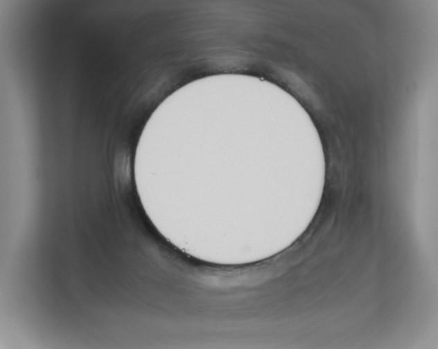 X0000111850021200908201246