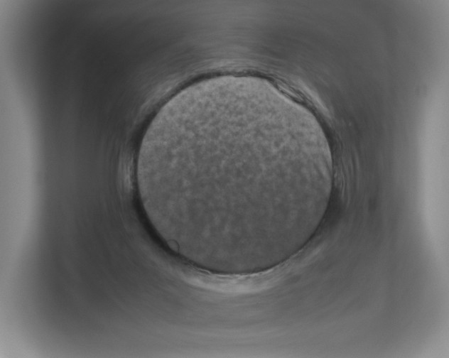 X0000111850023200908201246