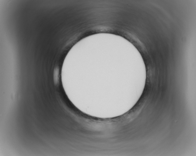 X0000111850024200908201246