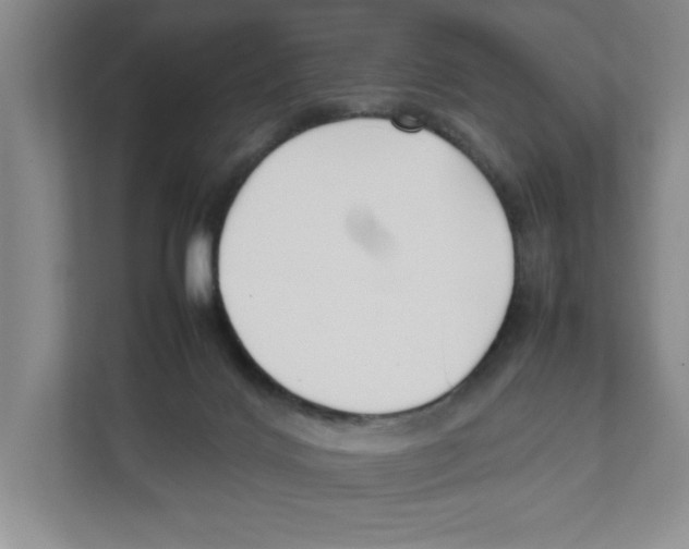 X0000111850028200908201246