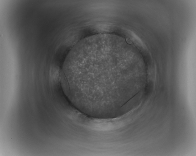 X0000111850029200908201246