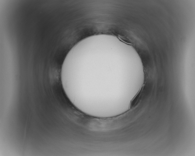 X0000111850033200908201246
