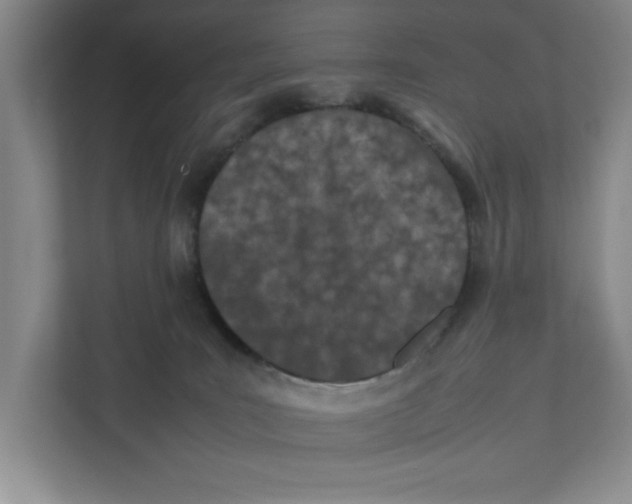 X0000111850035200908201246