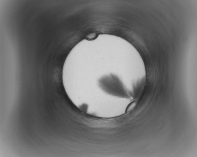 X0000111850036200908201246