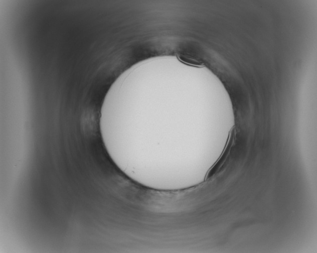 X0000111850037200908201246
