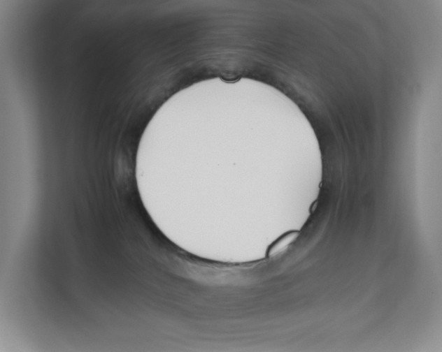 X0000111850040200908201246