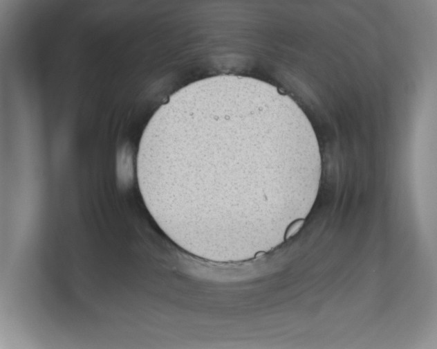 X0000111850042200908201246