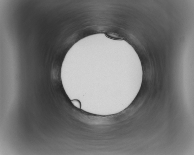 X0000111850044200908201246