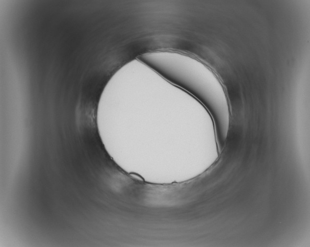 X0000111850045200908201246