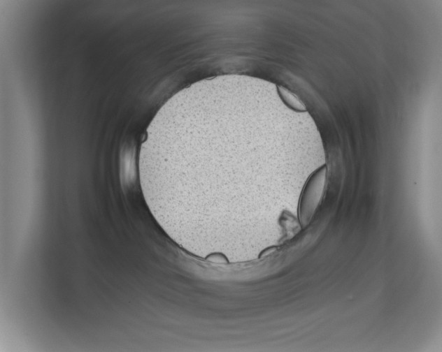 X0000111850046200908201246
