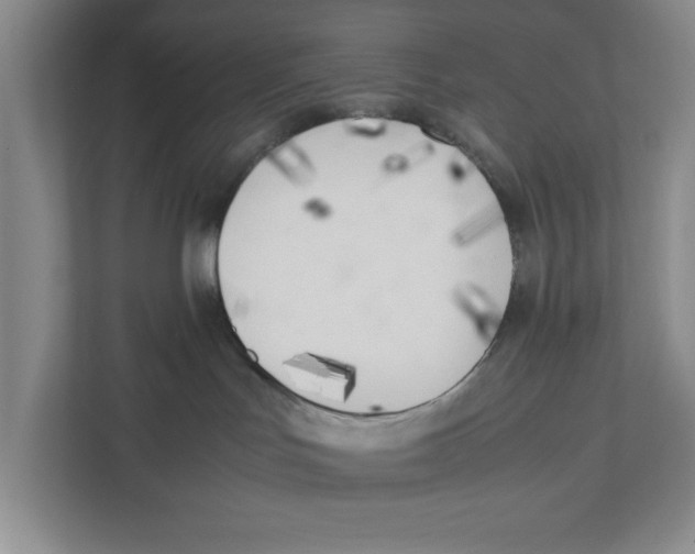 X0000111850047200908201246