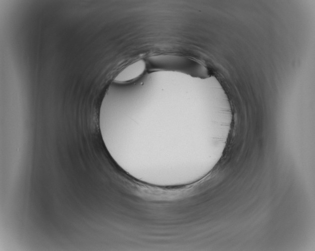 X0000111850048200908201246