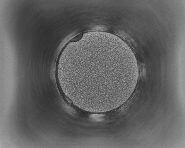 X0000111850051200908201245