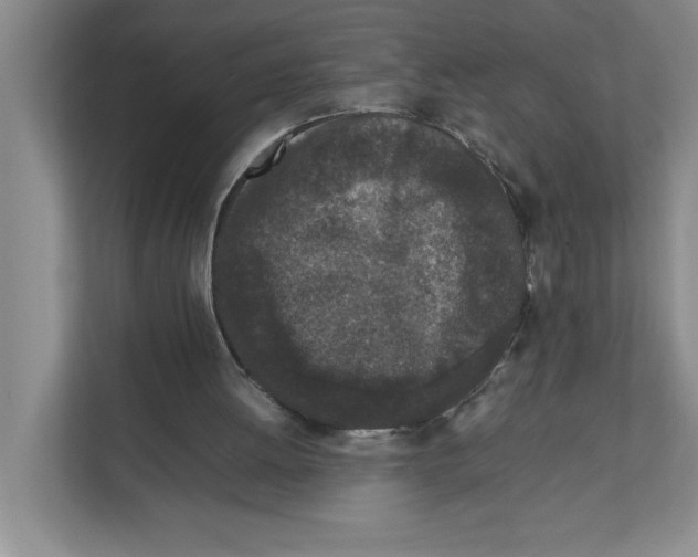 X0000111850052200908201245
