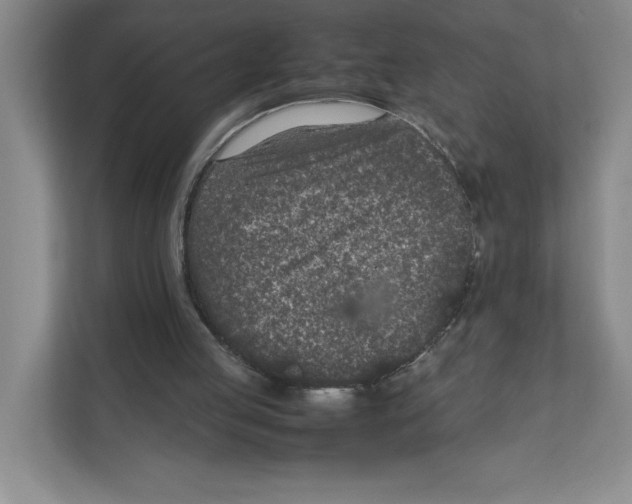 X0000111850053200908201245
