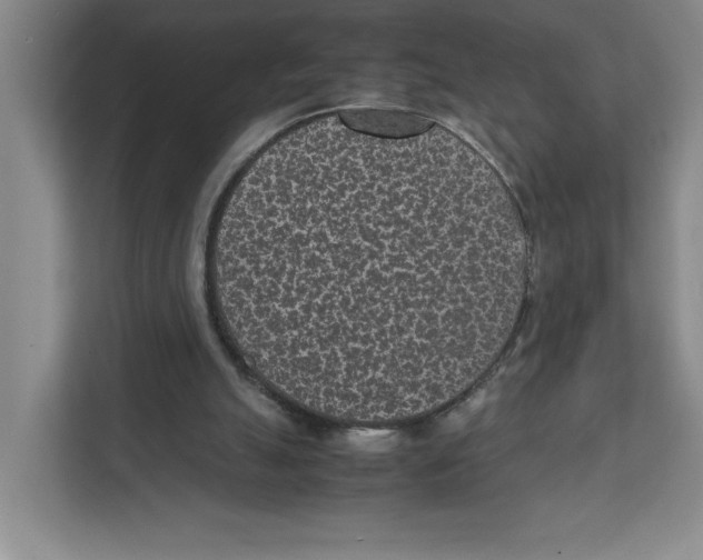 X0000111850055200908201245
