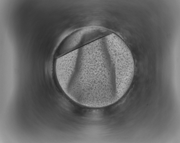 X0000111850056200908201245
