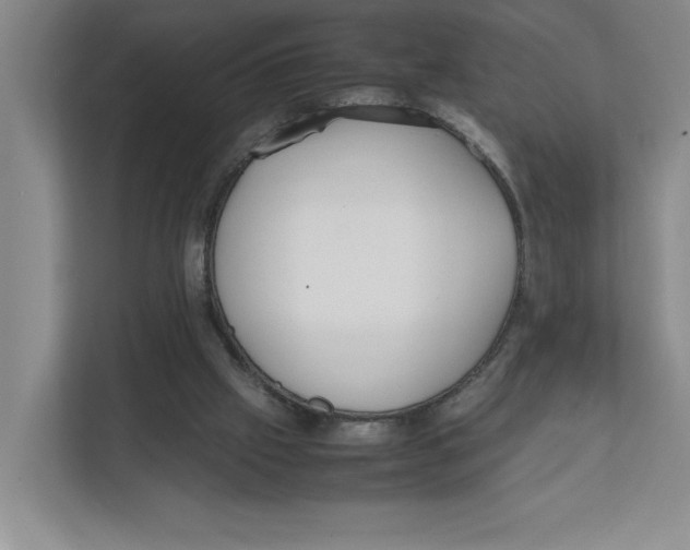 X0000111850057200908201245