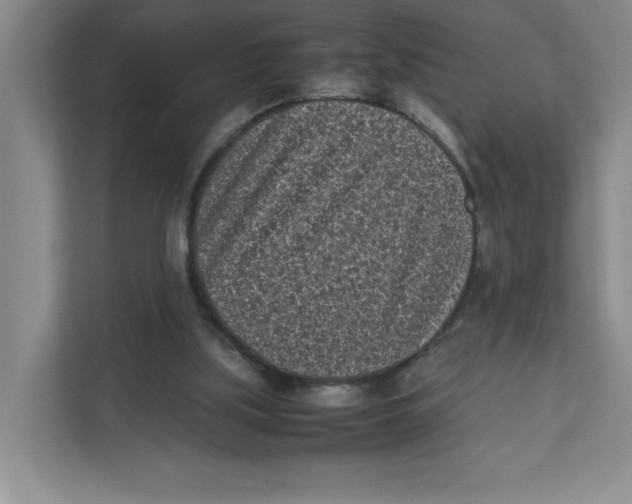 X0000111850059200908201245