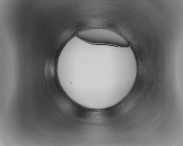X0000111850068200908201245