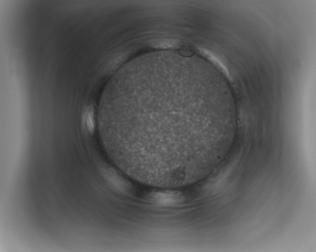 X0000111850069200908201245