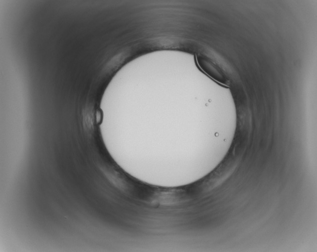 X0000111850072200908201245