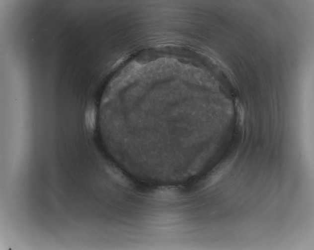 X0000111850076200908201245
