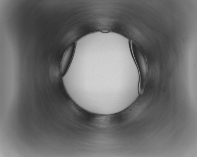 X0000111850084200908201246