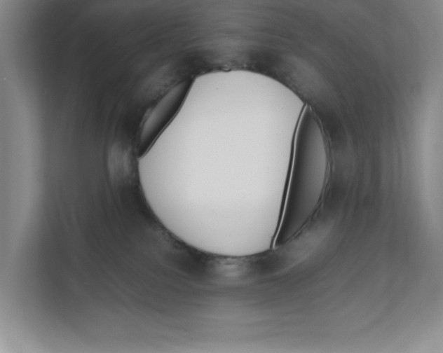 X0000111850088200908201246