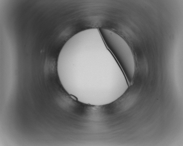 X0000111850092200908201246