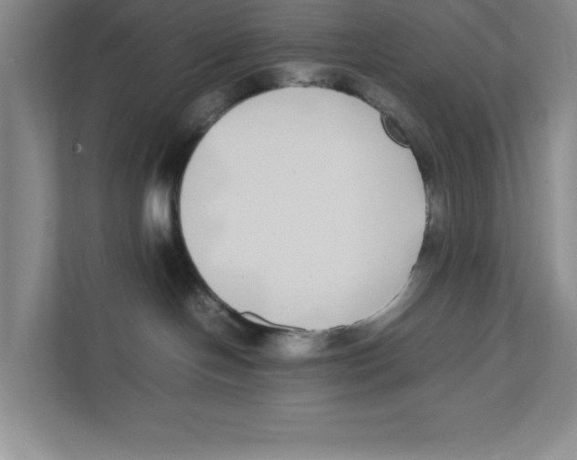 X0000111850094200908201246