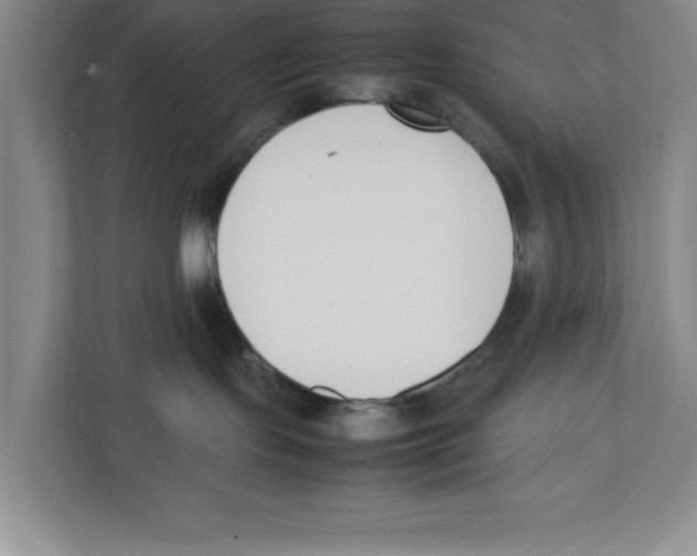X0000111850095200908201246