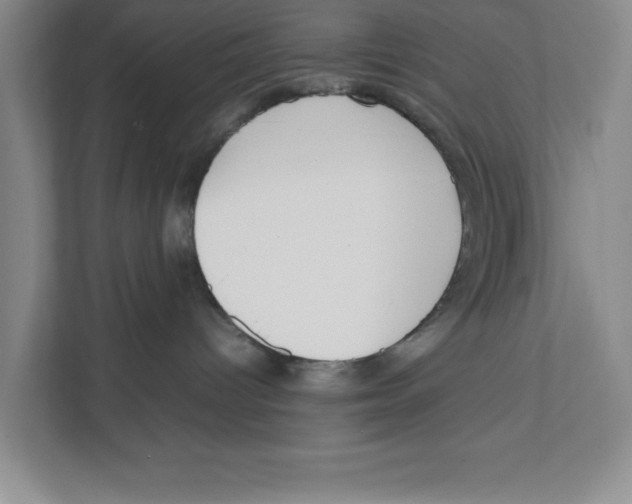 X0000111850096200908201246