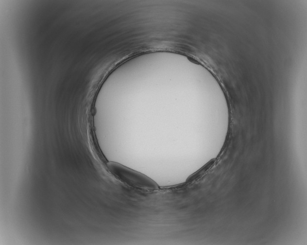 X0000111850097200908201245
