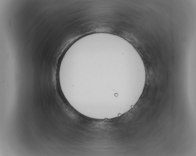 X0000111850098200908201245