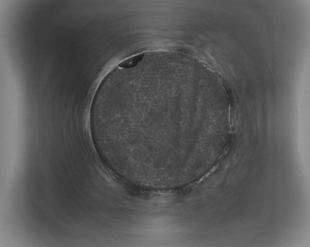 X0000111850099200908201245