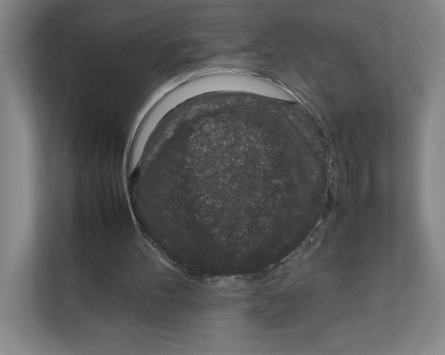 X0000111850100200908201245