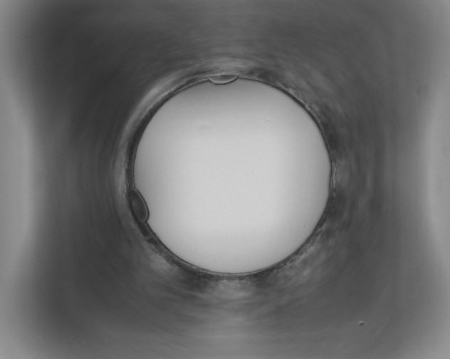 X0000111850101200908201245