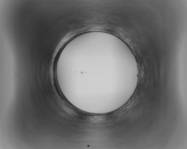 X0000111850102200908201245