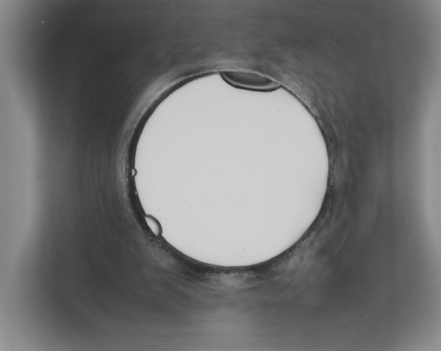 X0000111850103200908201245