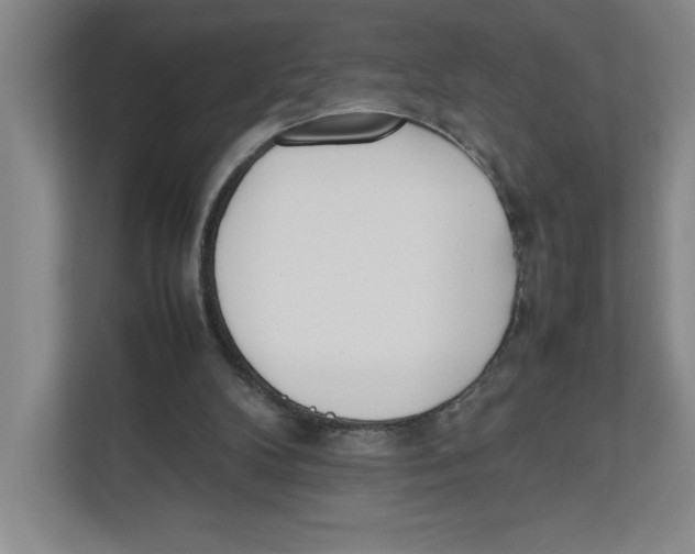 X0000111850104200908201245