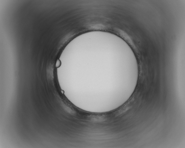 X0000111850106200908201245