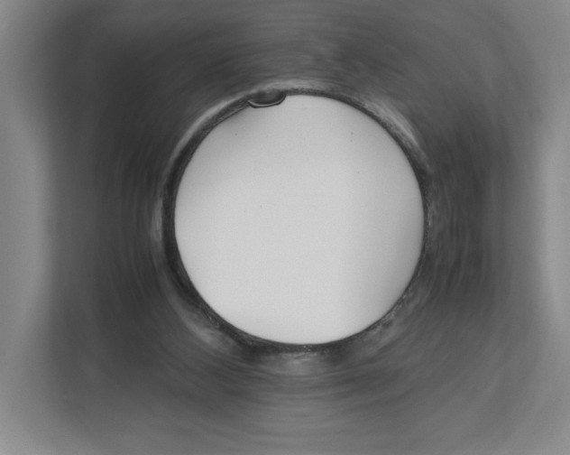 X0000111850108200908201245
