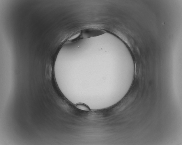 X0000111850109200908201245