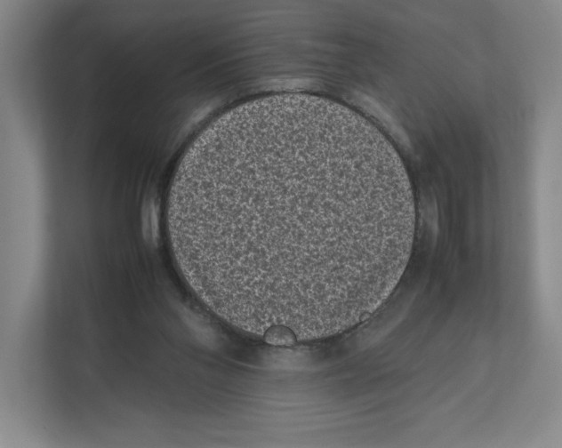 X0000111850110200908201245