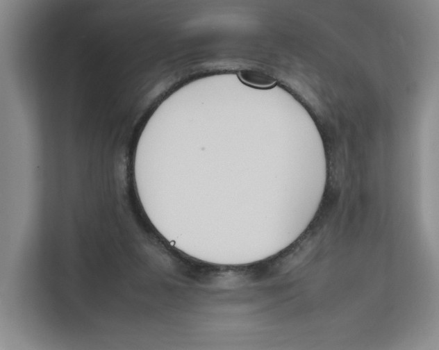 X0000111850111200908201245