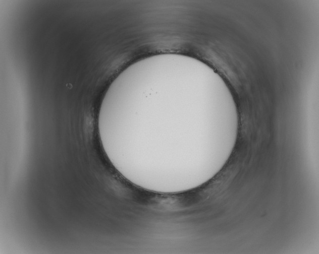 X0000111850113200908201245
